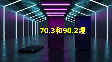 70.3和90.2燈珠哪個(gè)好 sFN60燈珠和70.3哪個(gè)好